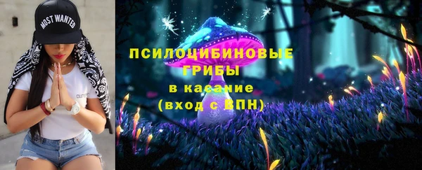apvp Киреевск